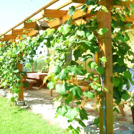 Urlaub Am Obst Und Weinbauernhof Bernhard *