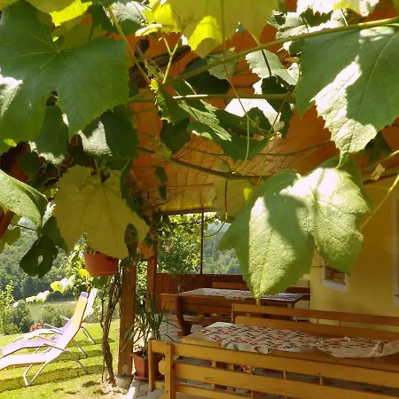 Urlaub Am Obst Und Weinbauernhof Bernhard