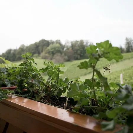 Urlaub Am Obst Und Weinbauernhof Bernhard * Possnitz