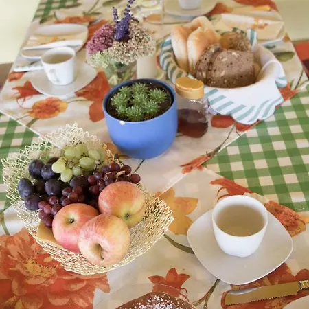 Urlaub Am Obst Und Weinbauernhof Bernhard 홈스테이